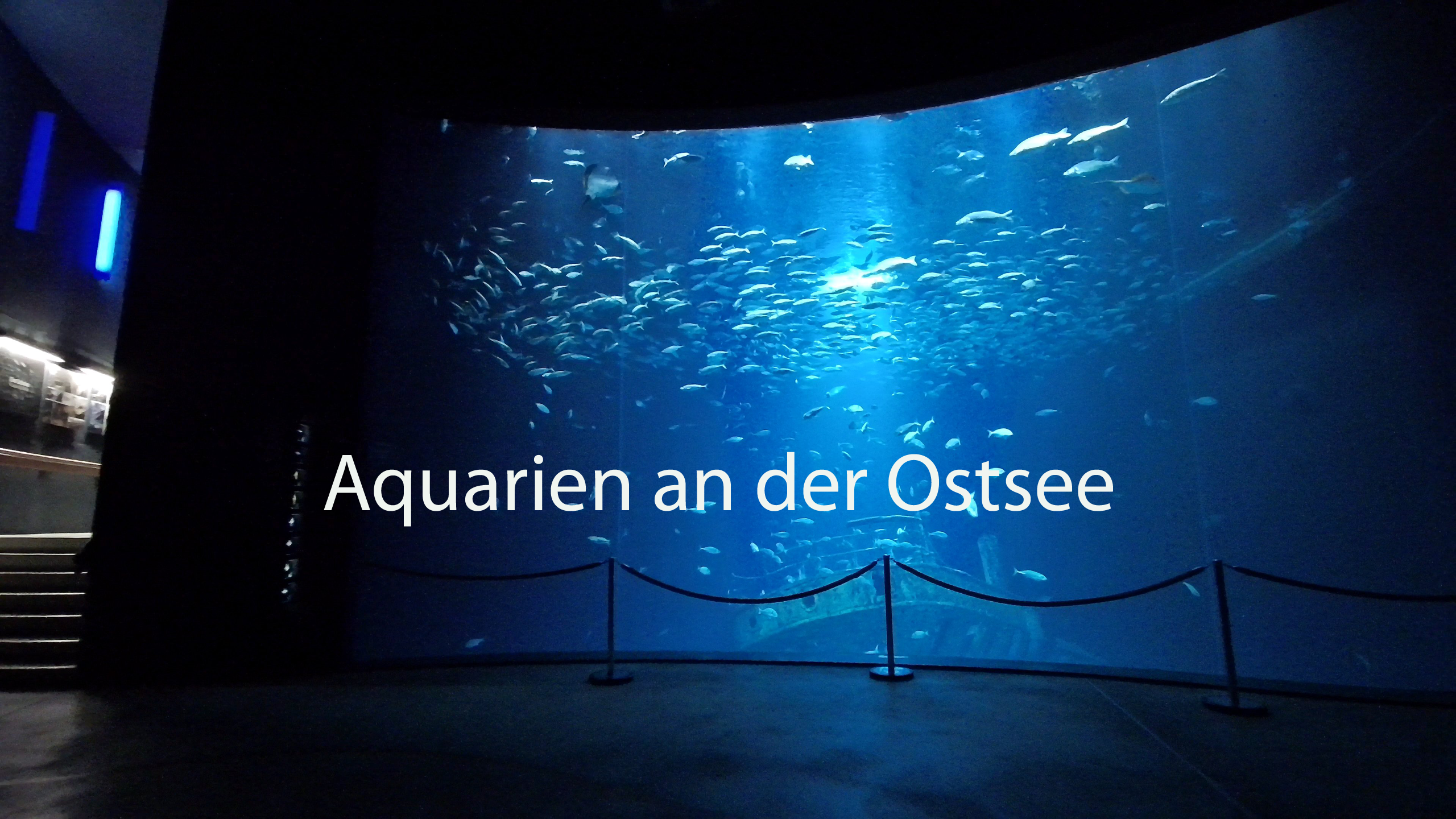 Bild1